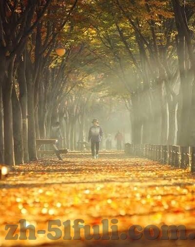 麻豆av 在线-