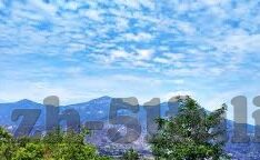 麻豆传媒有限公司视频-揭开麻豆文化，探索网络视频的商业与文化效应