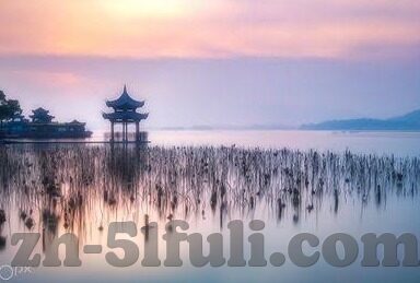 麻豆日记下载app-麻豆日记app，掌握生活的艺术与温度