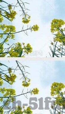 少妇人妻精品一区二区三区-探索生活多样性的美好——少妇人妻的多元视角