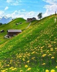 糖心app苹果版免费-解密苹果系统的糖心app，无偿体验的甜味秘密