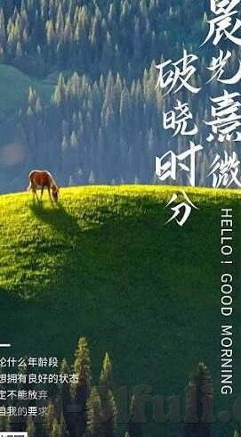 糖心app软件下载破解-如何探寻热门应用的真实面貌，一场关于糖心app的探秘