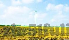www.麻豆视频-虚拟世界里的一扇窗——探索www.麻豆视频的独特魅力与潜在风险