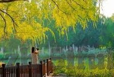 最近的2019中文字幕国语电影-2019年国语电影新视界，中文字幕下的文化共鸣